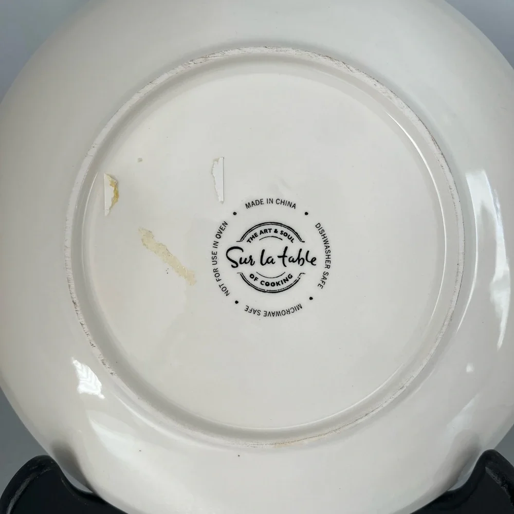 5 Sur La Table set of 5 Blue & White Plates NWT